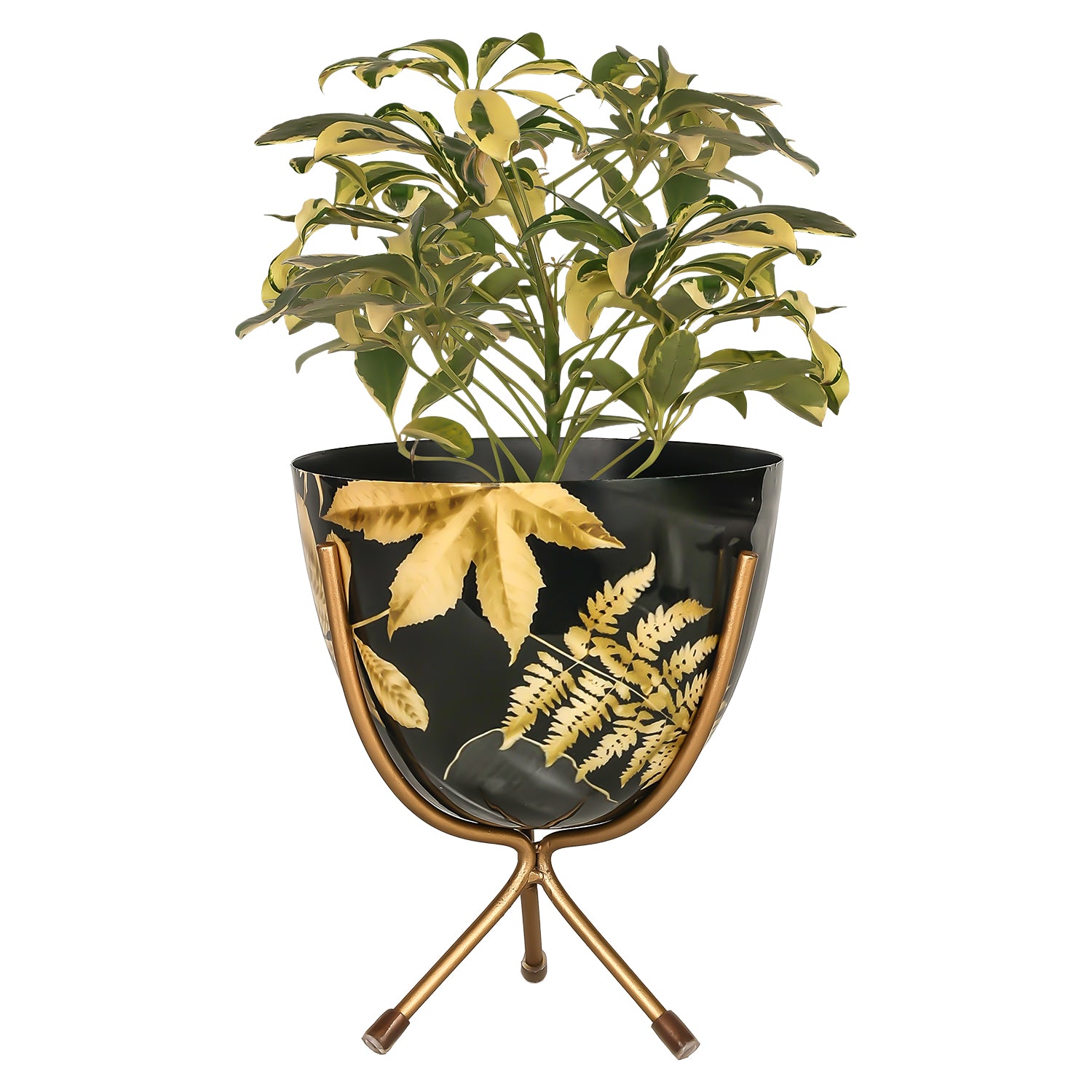 Black & Gold Botanical Metal Planter with Sculptural Stand