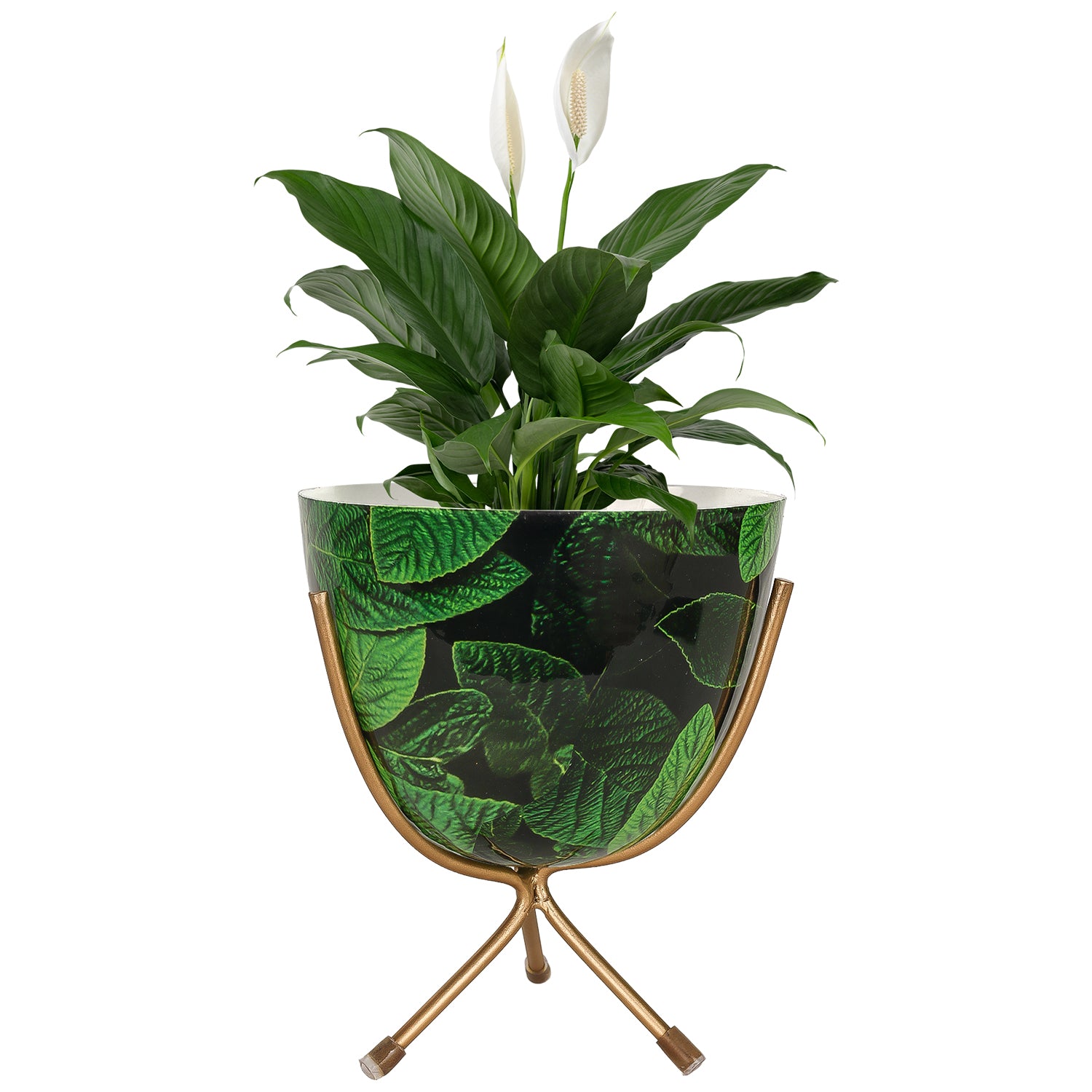 Green Leaf Design Metal Planter with Gold Stand