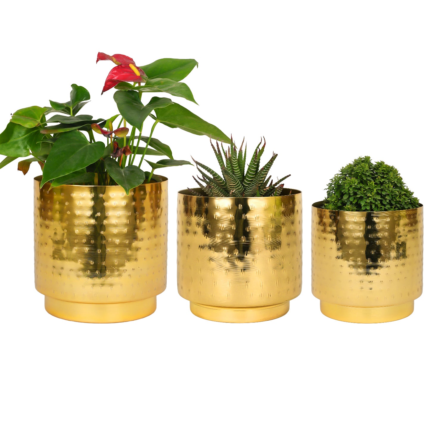 Hammered Gold Metal Planter Set – Design with Gold Finish