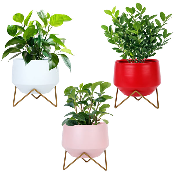 Matte Metal Planter Set of 3 – White, Red, Pink with Gold Stand