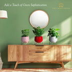 Matte Metal Planter Set of 3 – White, Red, Pink with Gold Stand