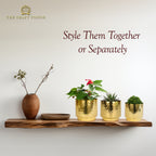 Hammered Gold Metal Planter Set – Design with Gold Finish
