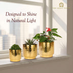 Hammered Gold Metal Planter Set – Design with Gold Finish