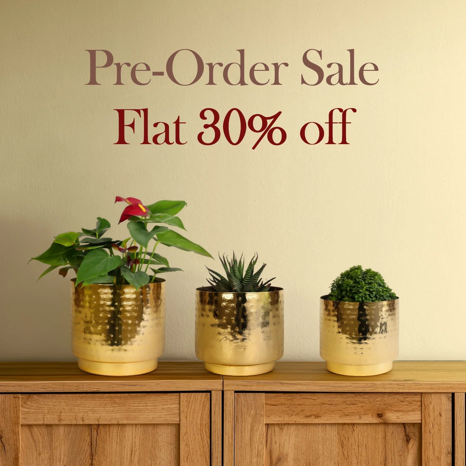 Pre-Order & Save Big – Limited Time!