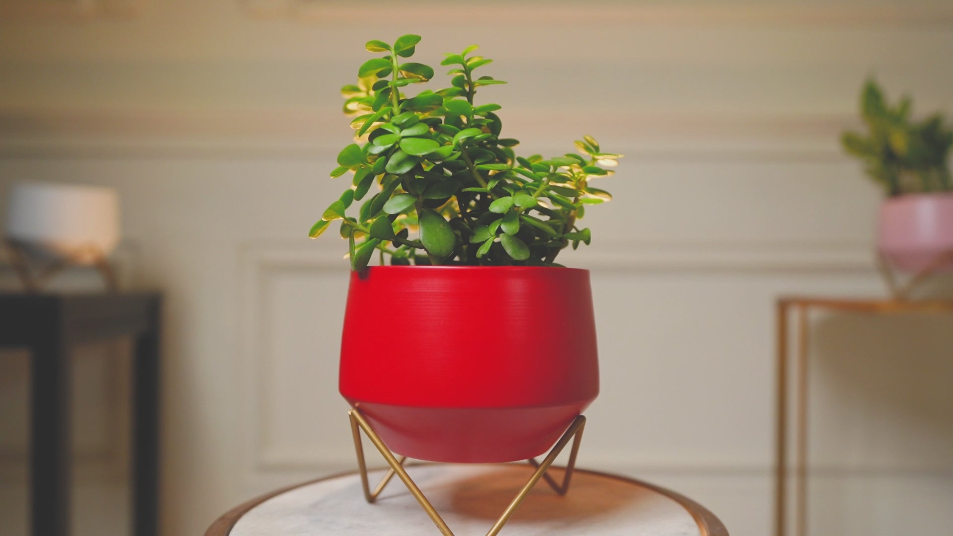 Matte Metal Planter Set of 3 – White, Red, Pink with Gold Stand