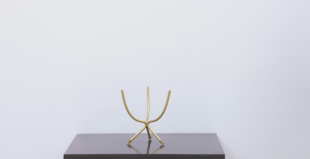 Black & Gold Botanical Metal Planter with Sculptural Stand