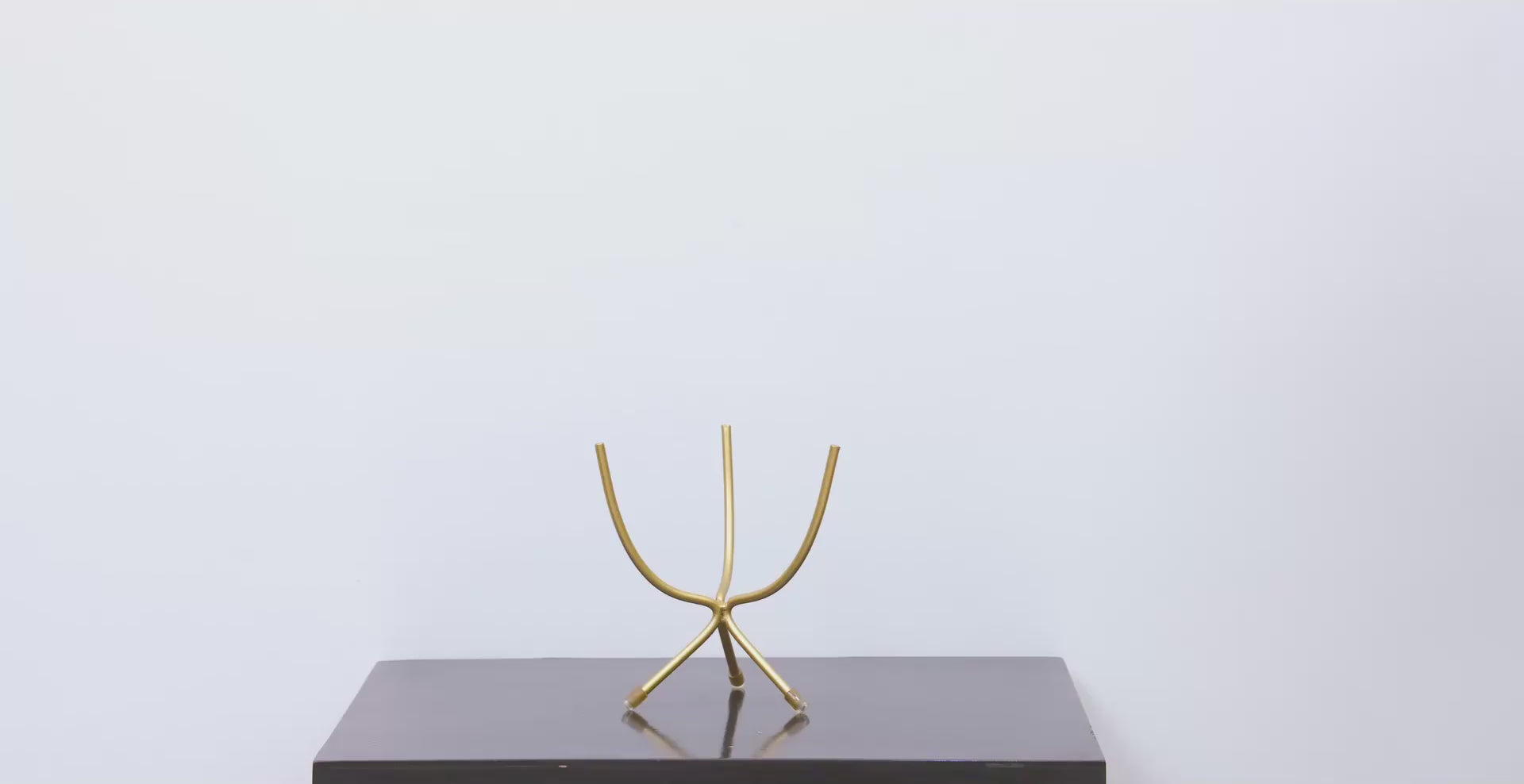 Black & Gold Botanical Metal Planter with Sculptural Stand