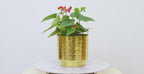 Hammered Gold Metal Planter Set – Design with Gold Finish
