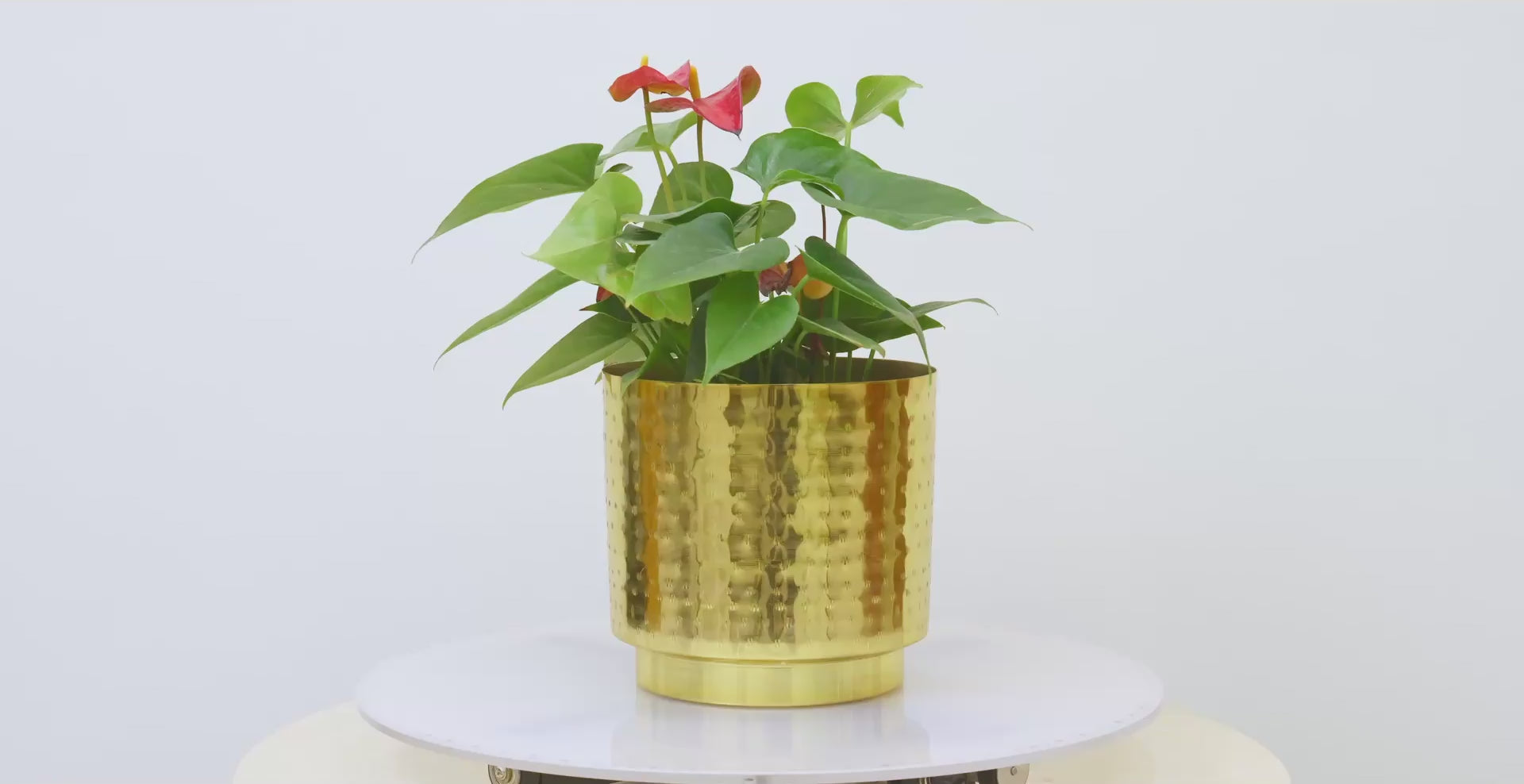 Hammered Gold Metal Planter Set – Design with Gold Finish