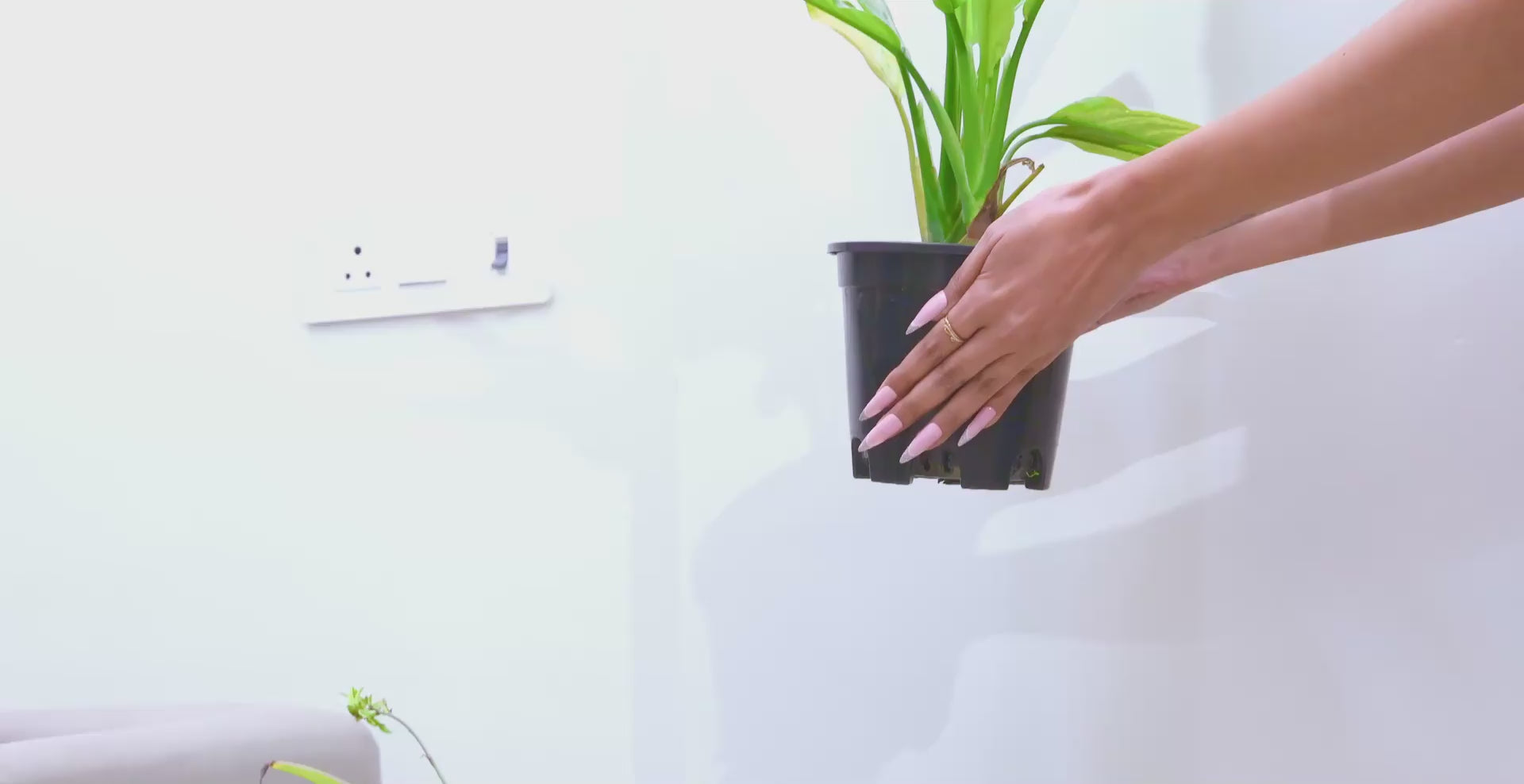 Gold Leaf Design Metal Planter Set –  with Black Stand